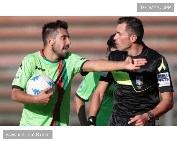 意甲国际裁判协会会议，标准统一讨论